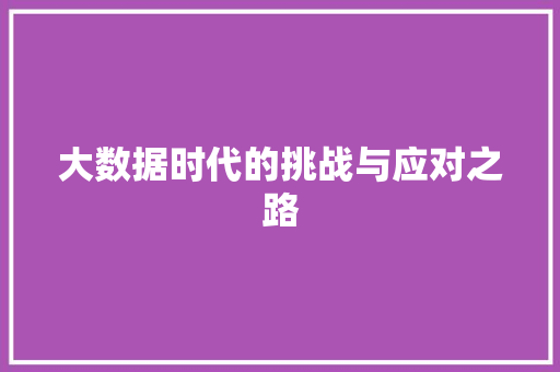 大数据时代的挑战与应对之路  第1张