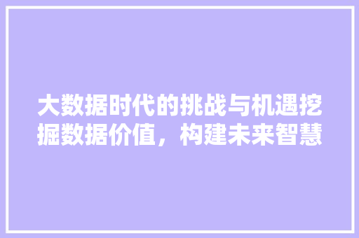 大数据时代的挑战与机遇挖掘数据价值，构建未来智慧社会  第1张