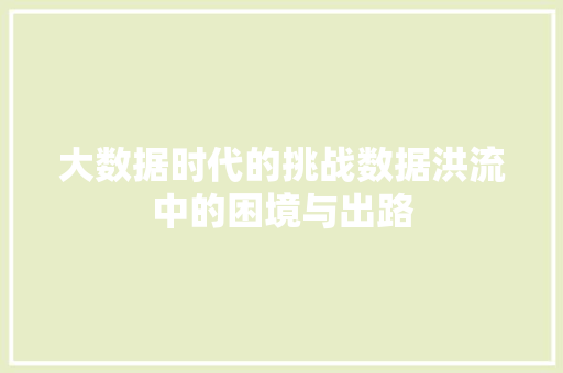 大数据时代的挑战数据洪流中的困境与出路
