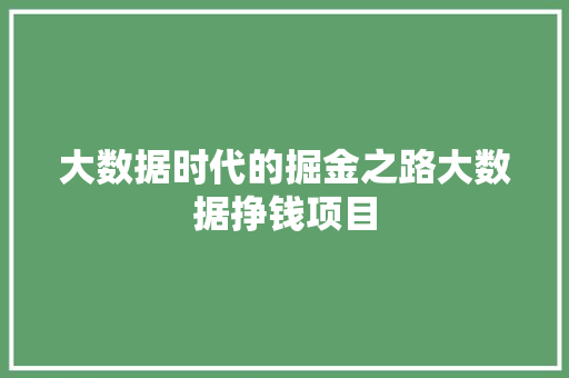 大数据时代的掘金之路大数据挣钱项目