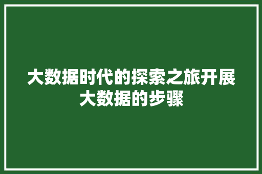 大数据时代的探索之旅开展大数据的步骤  第1张