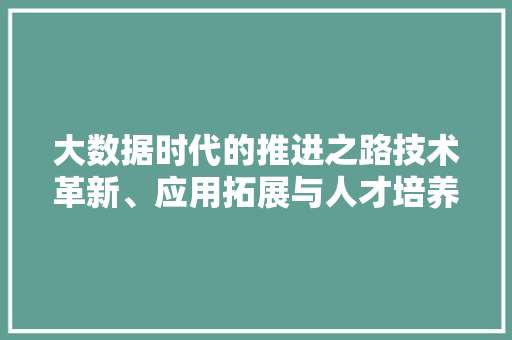大数据时代的推进之路技术革新、应用拓展与人才培养  第1张
