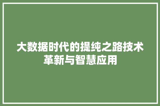 大数据时代的提纯之路技术革新与智慧应用  第1张