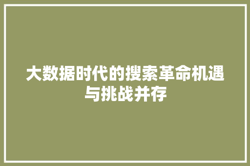 大数据时代的搜索革命机遇与挑战并存  第1张