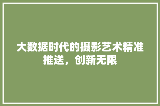 大数据时代的摄影艺术精准推送，创新无限