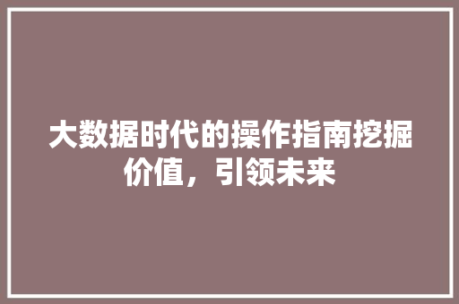 大数据时代的操作指南挖掘价值，引领未来
