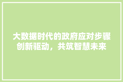 大数据时代的政府应对步骤创新驱动，共筑智慧未来  第1张