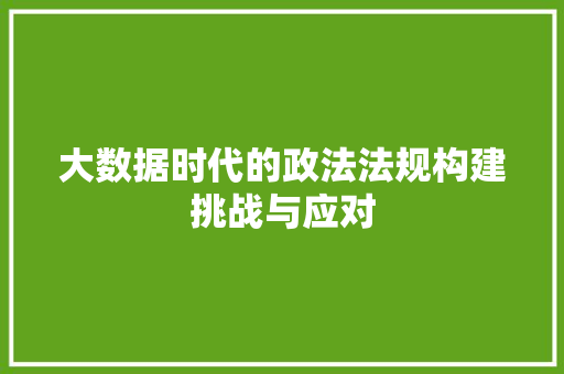 大数据时代的政法法规构建挑战与应对  第1张