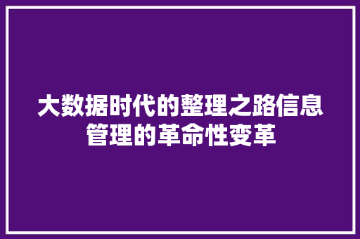 大数据时代的整理之路信息管理的革命性变革