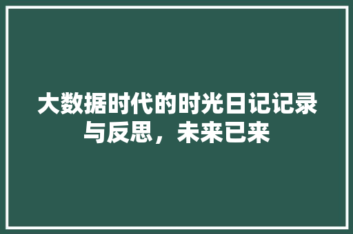 大数据时代的时光日记记录与反思，未来已来