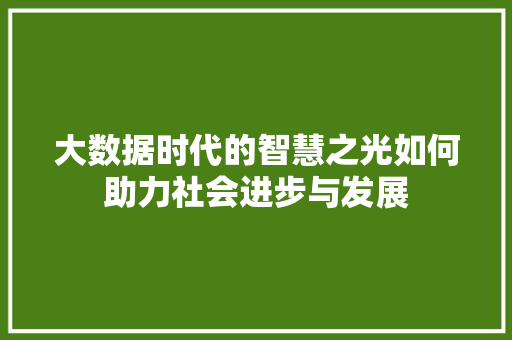 大数据时代的智慧之光如何助力社会进步与发展  第1张