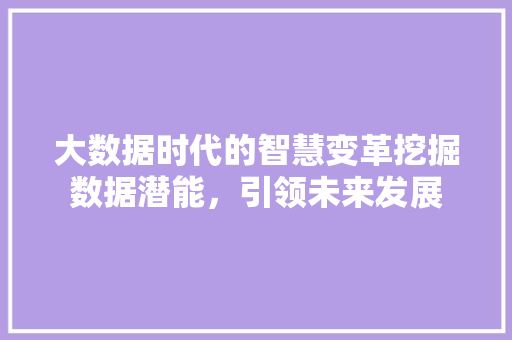 大数据时代的智慧变革挖掘数据潜能，引领未来发展