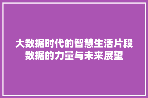 大数据时代的智慧生活片段数据的力量与未来展望