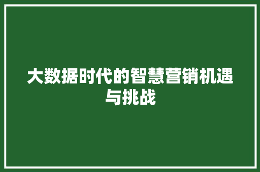 大数据时代的智慧营销机遇与挑战  第1张