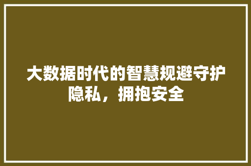 大数据时代的智慧规避守护隐私，拥抱安全