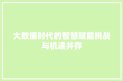大数据时代的智慧赋能挑战与机遇并存  第1张