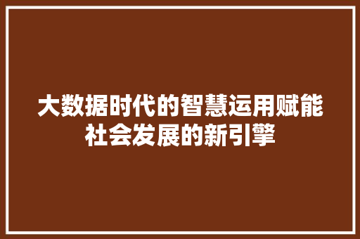 大数据时代的智慧运用赋能社会发展的新引擎  第1张