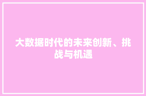 大数据时代的未来创新、挑战与机遇