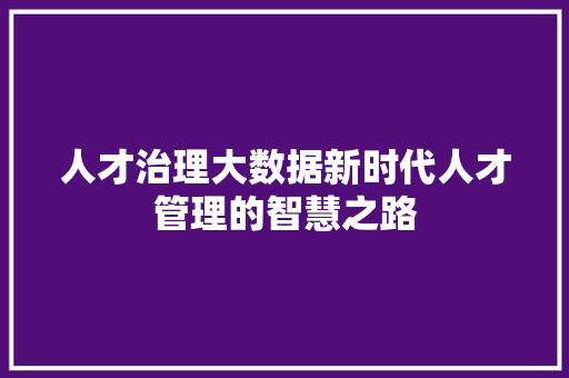 人才治理大数据新时代人才管理的智慧之路