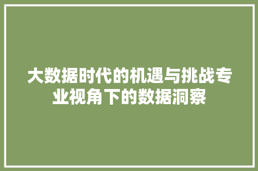 大数据时代的机遇与挑战专业视角下的数据洞察