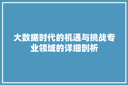 大数据时代的机遇与挑战专业领域的详细剖析  第1张