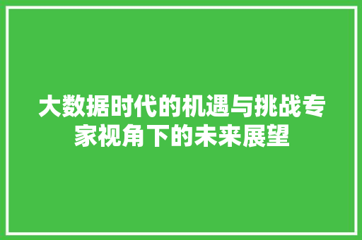 大数据时代的机遇与挑战专家视角下的未来展望  第1张