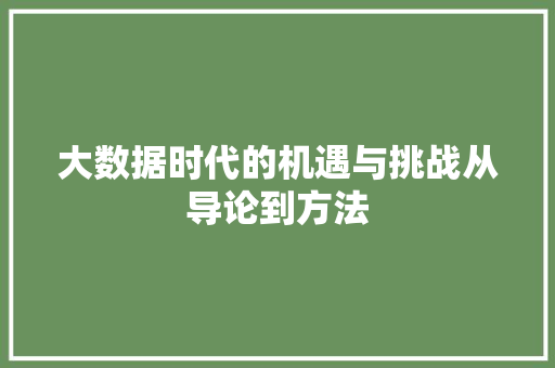 大数据时代的机遇与挑战从导论到方法