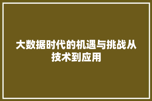 大数据时代的机遇与挑战从技术到应用