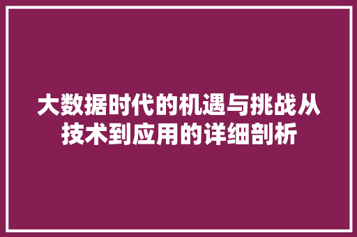 大数据时代的机遇与挑战从技术到应用的详细剖析