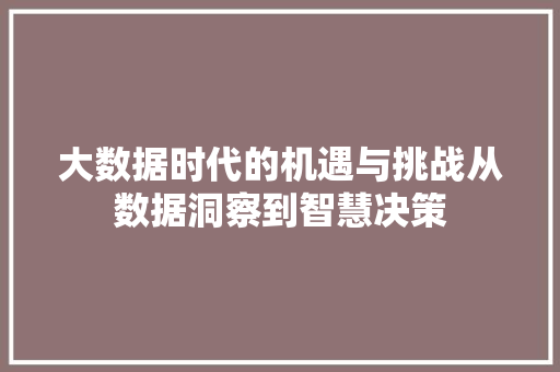 大数据时代的机遇与挑战从数据洞察到智慧决策