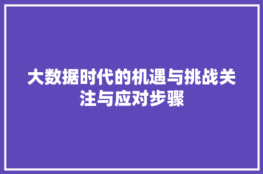 大数据时代的机遇与挑战关注与应对步骤  第1张