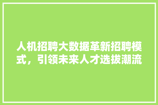 人机招聘大数据革新招聘模式，引领未来人才选拔潮流