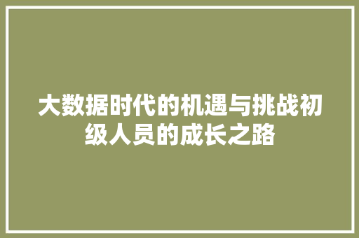 大数据时代的机遇与挑战初级人员的成长之路