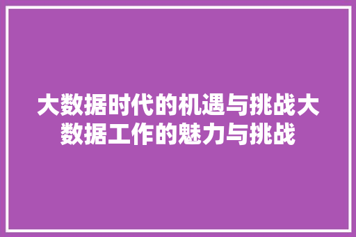大数据时代的机遇与挑战大数据工作的魅力与挑战
