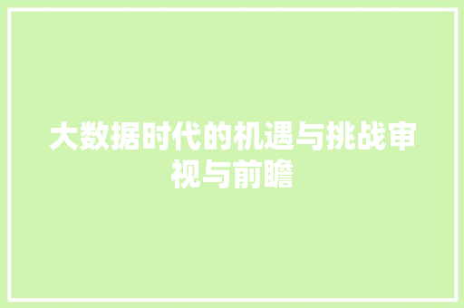 大数据时代的机遇与挑战审视与前瞻  第1张