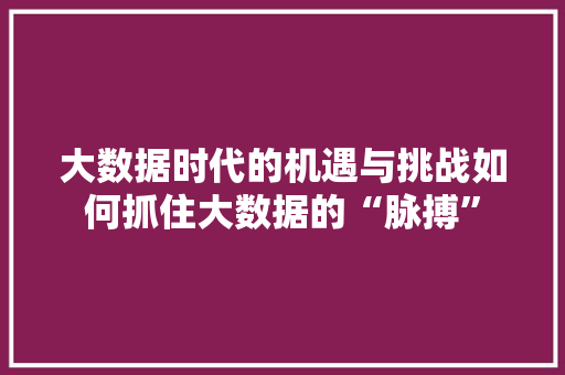 大数据时代的机遇与挑战如何抓住大数据的“脉搏”