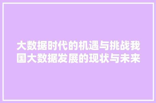 大数据时代的机遇与挑战我国大数据发展的现状与未来  第1张