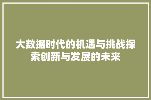 大数据时代的机遇与挑战探索创新与发展的未来