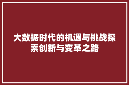大数据时代的机遇与挑战探索创新与变革之路