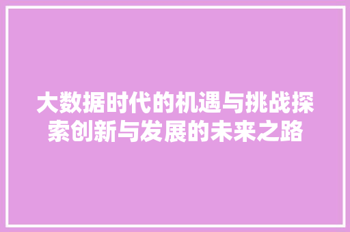 大数据时代的机遇与挑战探索创新与发展的未来之路