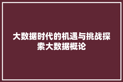 大数据时代的机遇与挑战探索大数据概论  第1张