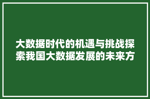 大数据时代的机遇与挑战探索我国大数据发展的未来方向