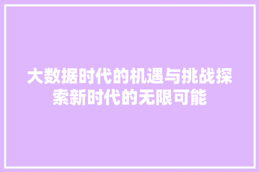 大数据时代的机遇与挑战探索新时代的无限可能