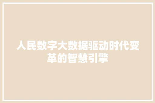 人民数字大数据驱动时代变革的智慧引擎