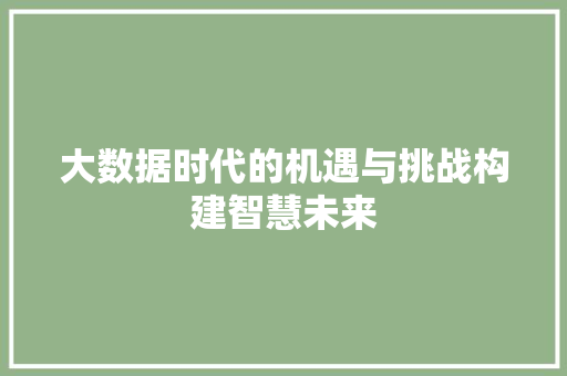大数据时代的机遇与挑战构建智慧未来