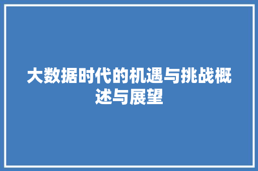 大数据时代的机遇与挑战概述与展望