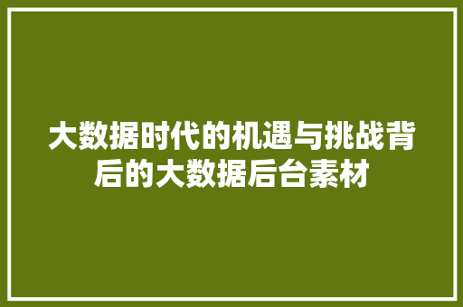 大数据时代的机遇与挑战背后的大数据后台素材
