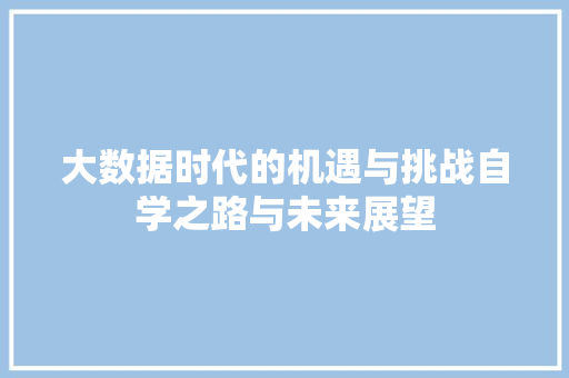 大数据时代的机遇与挑战自学之路与未来展望  第1张