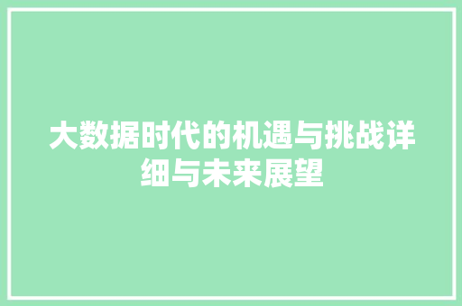 大数据时代的机遇与挑战详细与未来展望
