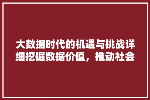 大数据时代的机遇与挑战详细挖掘数据价值，推动社会进步